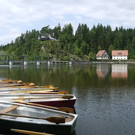 Vakantiehuis Nr 12a3, Hagbuegerl, Bayr Wald *