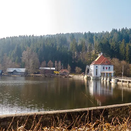 Nr 12a3, Hagbuegerl, Bayr Wald * Waldmünchen