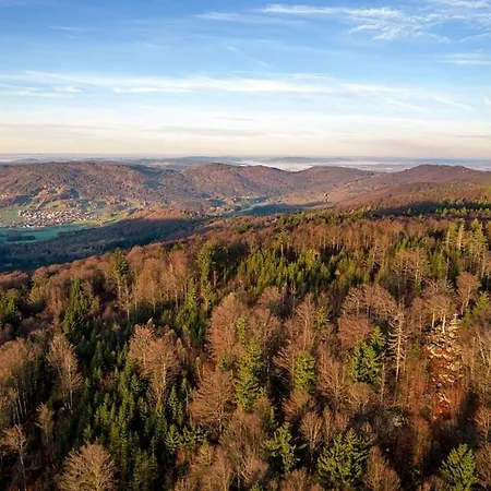 Nr 12a3, Hagbuegerl, Bayr Wald *