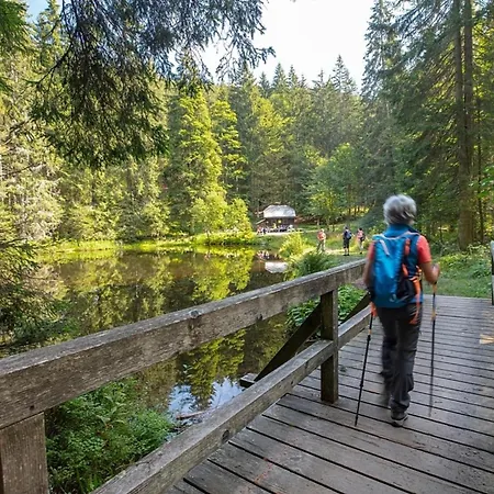 Nr 12a3, Hagbuegerl, Bayr Wald Vakantiehuis Waldmünchen
