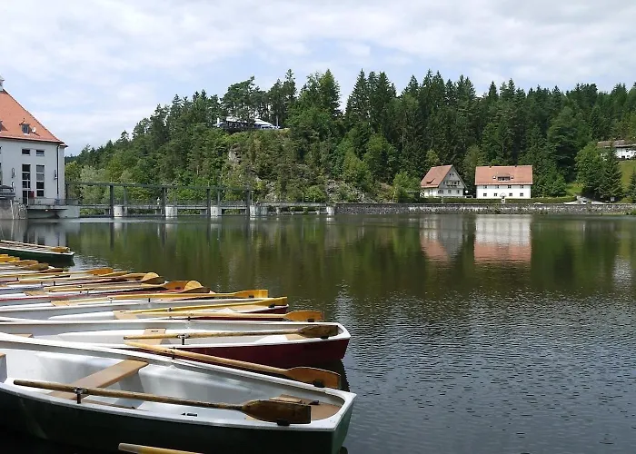 Feriehus Nr 12a3, Hagbuegerl, Bayr Wald *